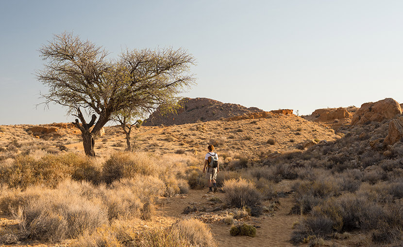portfolio single 01-veterans-ptsd-cure