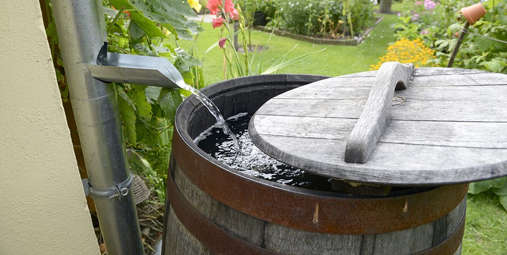 types of rain barrels section 4 e1714205355684-veterans-ptsd-cure