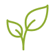 h14 plant-veterans-ptsd-cure