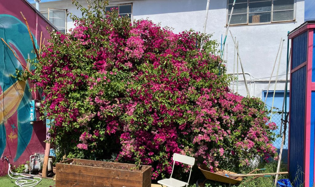 template-ob-community-garden