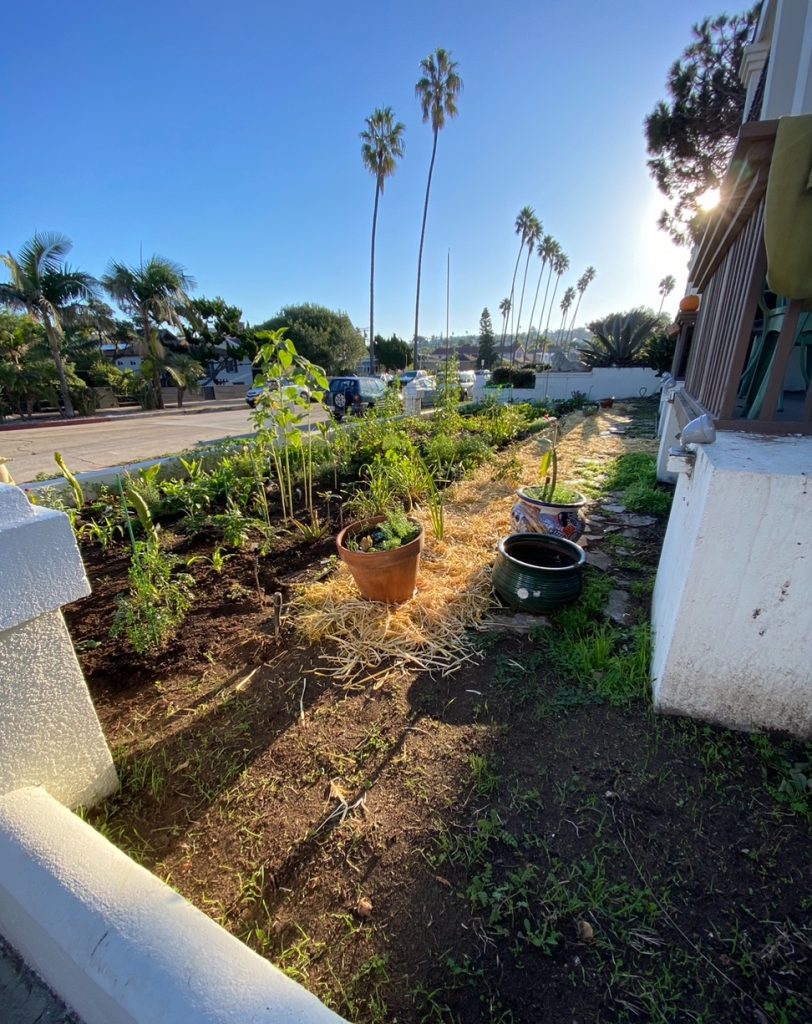 IMG 9932 e1714168147956-veterans-ptsd-cure