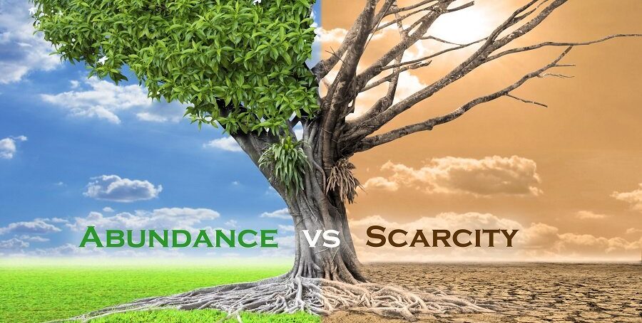 abundancevsscarcity e1714286407702-veterans-ptsd-cure