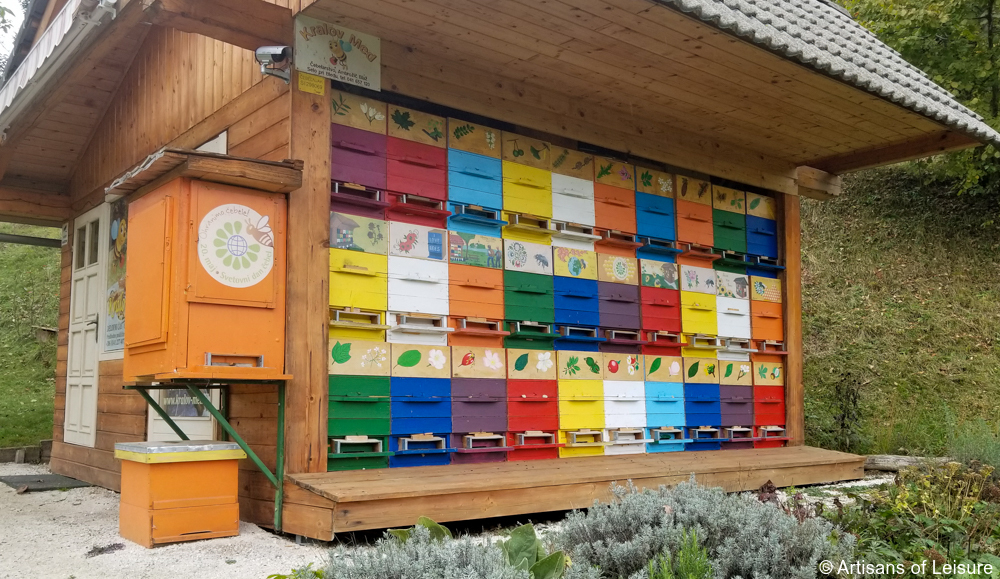 bee-kingdom-urban-gardening-ocean-beach-california