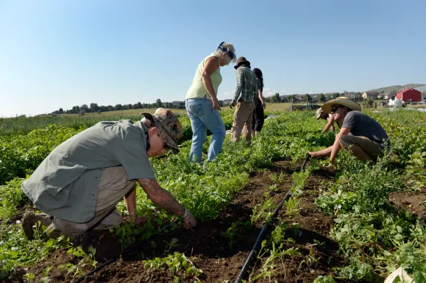 chatfield veterans 08012017 ks 1594 cover-veterans-ptsd-cure