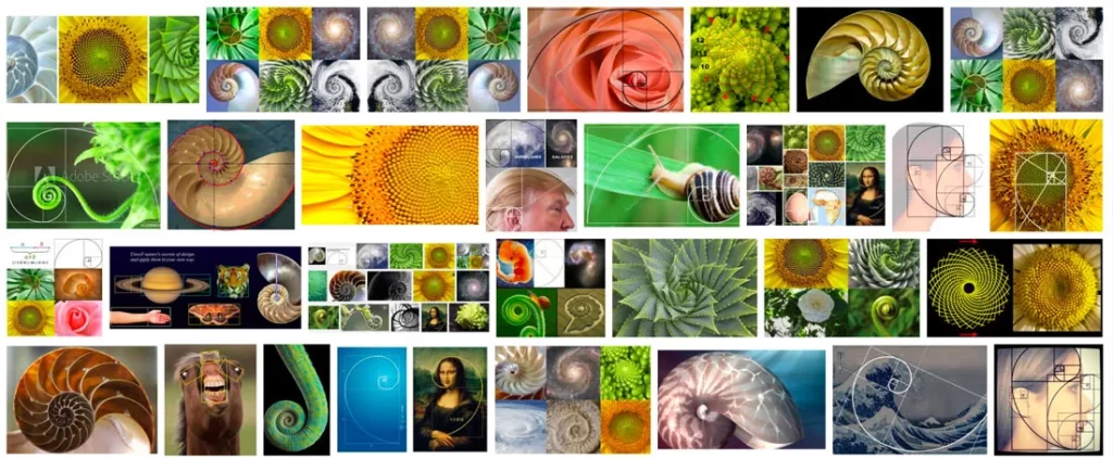 golden ratio examples-veterans-ptsd-cure