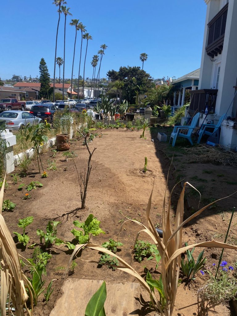 ocean beach community garden-veterans-ptsd-cure