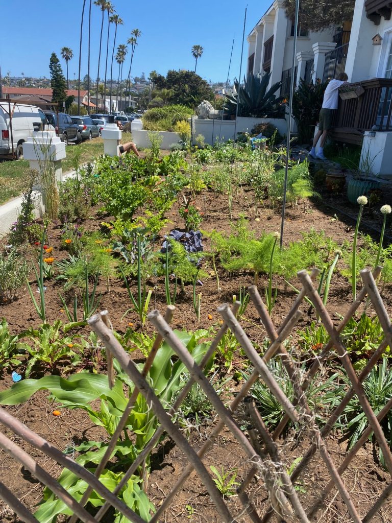 about-veterans-ptsd-cure-about-us