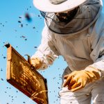 BEEKEEPING