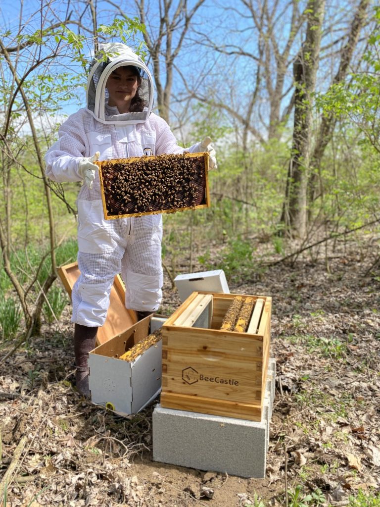 beekeeping hive-veterans-ptsd-cure