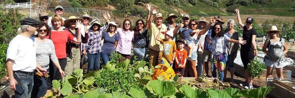 veterans-ptsd-cure-gardening