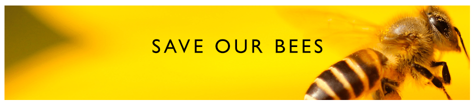 save-our-bees-header