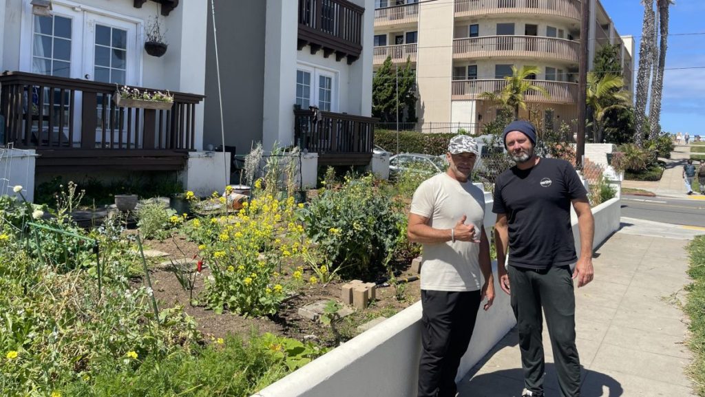 live-bee-rescue-ocean-beach-ca-bee-removal-service