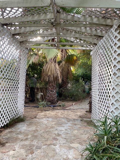 IMG 3349 rotated-veterans-ptsd-cure