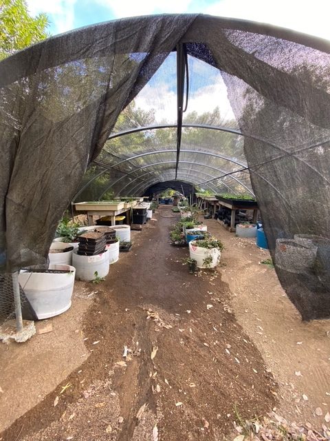 IMG 3355 rotated-veterans-ptsd-cure