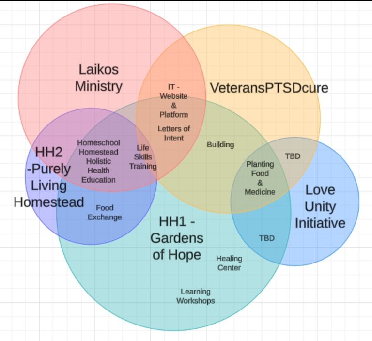 Screenshot 20241201 170151 83143432988907-veterans-ptsd-cure