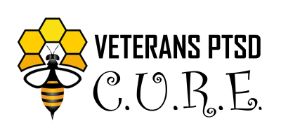 veterans-ptsd-cure-logo